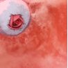NATURE'S CANDY - BOULE DE BAIN - BOMB COSMETICS