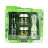 Coffret "Autour du Basilic" - SAVOR CREATIONS