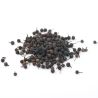 Poivre Cubèbe d'Indonésie - 55g - SAVOR CREATIONS