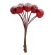 Suspension de Noël - 4 Bouquets de 10 baies rouges