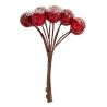Suspension de Noël - 4 Bouquets de 10 baies rouges