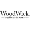 The blanc & Jasmin - Ellipse - Bougie WOODWICK