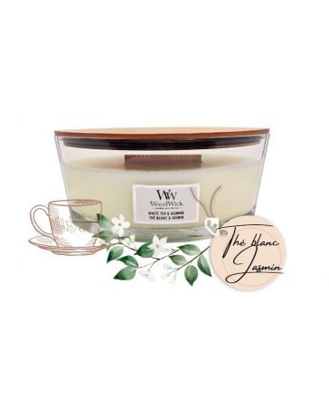 The blanc & Jasmin - Ellipse - Bougie WOODWICK