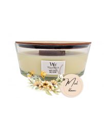 Miel Blanc - Ellipse - Bougie WOODWICK