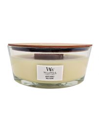 Miel Blanc - Ellipse - Bougie WOODWICK