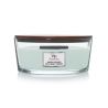 Bois de Sauge & Posidonie - Ellipse - Bougie WOODWICK