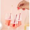 6 Bâtonnets à infuser pour Mocktail Cosmopolitan - THE CABINET OF CURIOSITEAS
