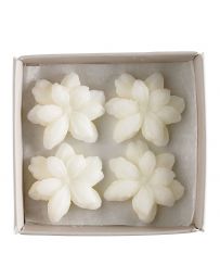 Boîte 4 Décors Fondants parfumés "Jasmin" - Sublime Jasmin - MATHILDE.M