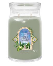 Bougie Grande Jarre - Cyprès & Oliviers - YANKEE CANDLE
