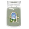 Bougie Grande Jarre - Cyprès & Oliviers - YANKEE CANDLE