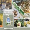 Bougie Grande Jarre - Cyprès & Oliviers - YANKEE CANDLE