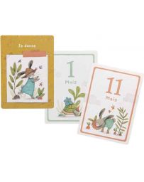 Cartes Etapes Mes 12 Premiers Mois - Trois petits lapins - MOULIN ROTY