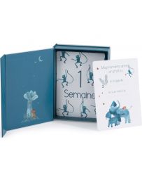 Cartes Etapes Mes 12 Premiers Mois - Sous mon Baobab - MOULIN ROTY