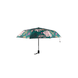 PARAPLUIE PLIANT AUDACIEUSE...