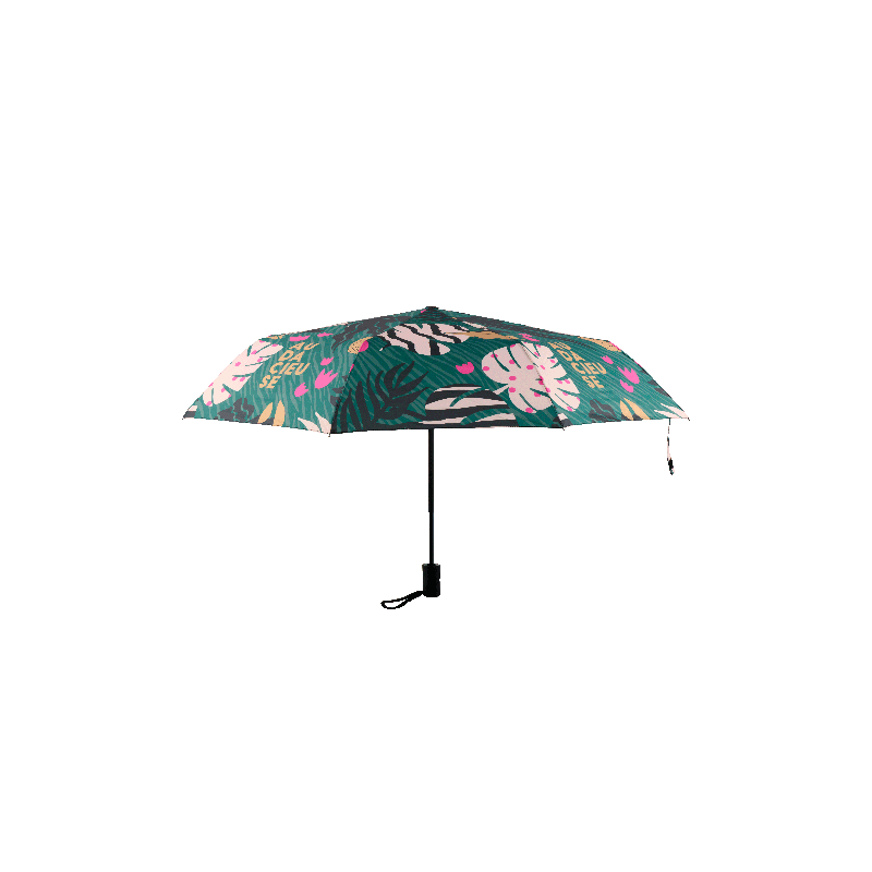 PARAPLUIE PLIANT AUDACIEUSE  - DERRIERE LA PORTE