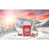 SANTA ON SKIS - GRANDE JARRE - YANKEE CANDLE