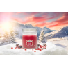 SANTA ON SKIS - MOYENNE JARRE - YANKEE CANDLE