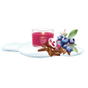 SANTA ON SKIS - VOTIVE EN VERRE - YANKEE CANDLE
