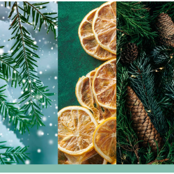 HOLIDAY WINTERFEST - MOYENNE JARRE - YANKEE CANDLE
