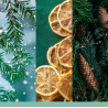 HOLIDAY WINTERFEST - MOYENNE JARRE - YANKEE CANDLE