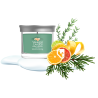 HOLIDAY WINTERFEST - PETIT GOBELET - YANKEE CANDLE