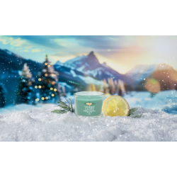 HOLIDAY WINTERFEST - VOTIVE EN VERRE - YANKEE CANDLE