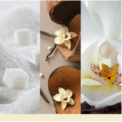 VANILLA FLURRIES - GRANDE JARRE - YANKEE CANDLE