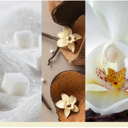 VANILLA FLURRIES - MOYENNE JARRE - YANKEE CANDLE