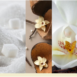 VANILLA FLURRIES - PETIT GOBELET - YANKEE CANDLE