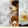 VANILLA FLURRIES - VOTIVE EN VERRE - YANKEE CANDLE