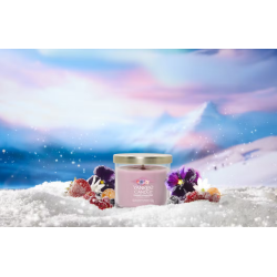 SUMMIT STARGAZING - PETIT GOBELET - YANKEE CANDLE