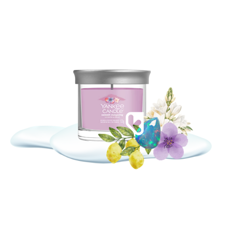 SUMMIT STARGAZING - PETIT GOBELET - YANKEE CANDLE