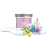 SUMMIT STARGAZING - PETIT GOBELET - YANKEE CANDLE