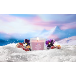 SUMMIT STARGAZING - VOTIVE EN VERRE - YANKEE CANDLE