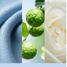 LA COUVERTURE DOUCE - VOTIVE EN VERRE - YANKEE CANDLE