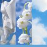 COTON FRAIS - GRANDE JARRE - YANKEE CANDLE