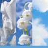 COTON FRAIS - MOYENNE JARRE - YANKEE CANDLE