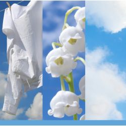 COTON FRAIS - VOTIVE EN VERRE - YANKEE CANDLE
