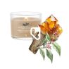 AMBRE & BOIS DE SANTAL - VOTIVE EN VERRE - YANKEE CANDLE