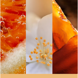FEUILLES CHATOYANTES - GRANDE JARRE - YANKEE CANDLE