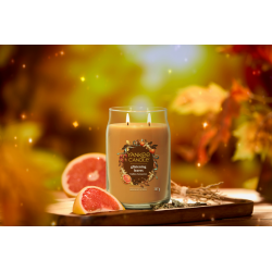 FEUILLES CHATOYANTES - GRANDE JARRE - YANKEE CANDLE
