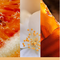 FEUILLES CHATOYANTES - MOYENNE JARRE - YANKEE CANDLE