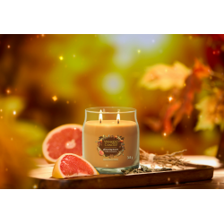 FEUILLES CHATOYANTES - MOYENNE JARRE - YANKEE CANDLE