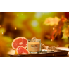 FEUILLES CHATOYANTES - PETIT GOBELET  - YANKEE CANDLE