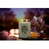 VERGER ENCHANTE - GRANDE JARRE - YANKEE CANDLE