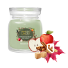 VERGER ENCHANTE - MOYENNE JARRE - YANKEE CANDLE