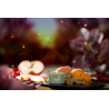 ENCHANTED ORCHARD - VOTIVE EN VERRE - YANKEE CANDLE