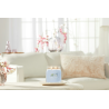 HAVRE DE PAIX - MOYENNE JARRE - YANKEE CANDLE