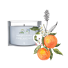 HAVRE DE PAIX - VOTIVE EN VERRE - YANKEE CANDLE