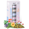 COFFRET INFUSIONS "I FEEL GOOD" - QUAI SUD